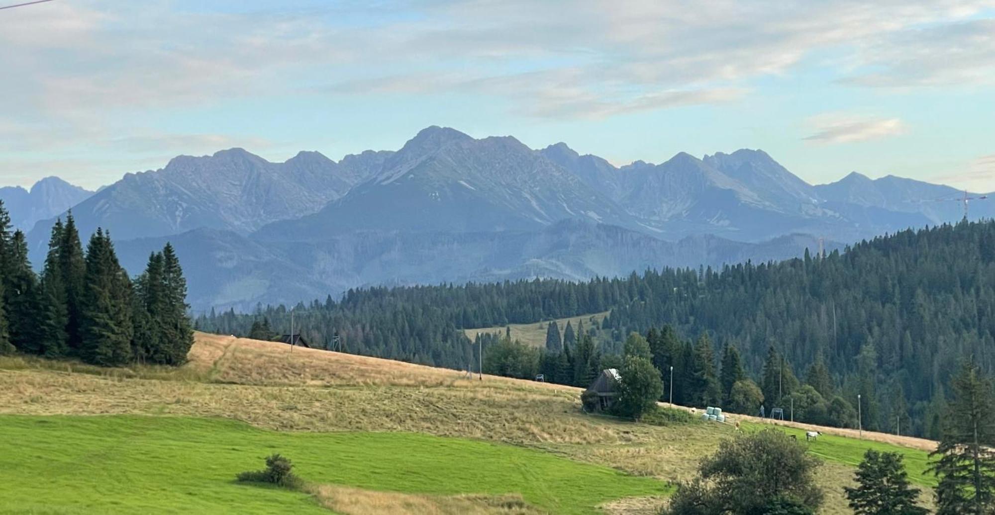Willa Marysin Bukowina Tatrzańska Esterno foto